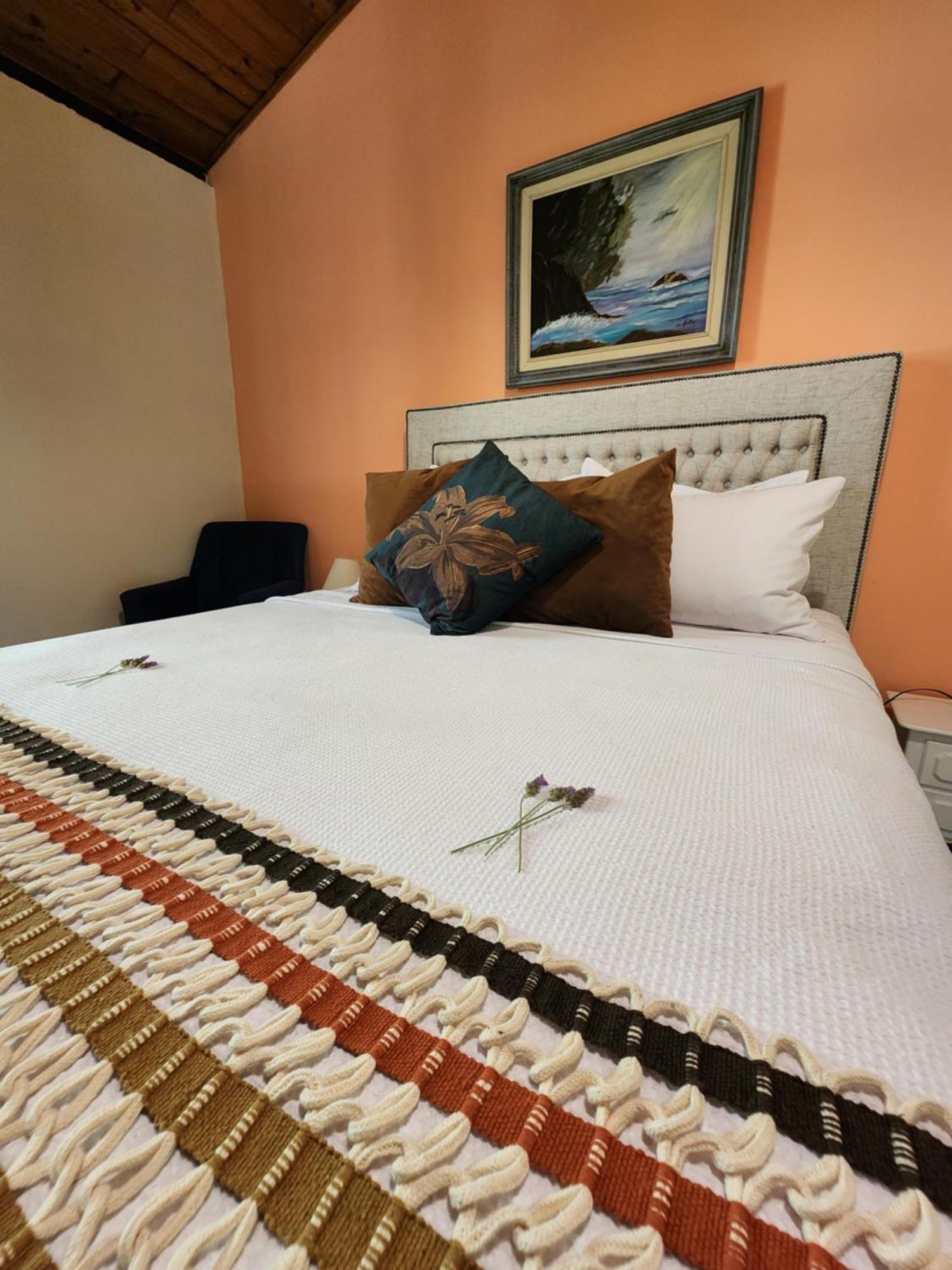 Bed and Breakfast Sitio Belucci à Pinhalzinho  Extérieur photo